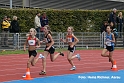 Z181 mg_final